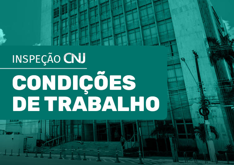 CNJ inspeC3A7C3A3o 4