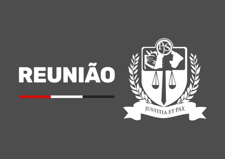 ReuniC3A3o fundo cinza